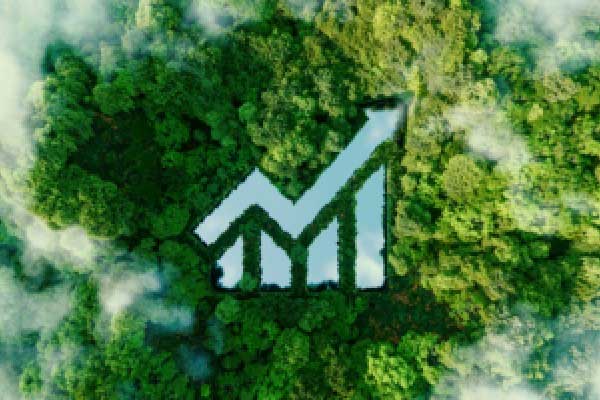 尾盘：美股三大股指悉数走低